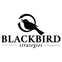Blackbird Strategies logo - Similar company to Daisy Consulting Group