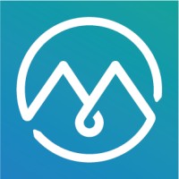 IDM FRANCE logo - Similar company to Revaluesystems