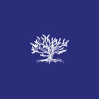 Bijvoet & Byvoet.org Foundation logo - Similar company to Bivolino.Com