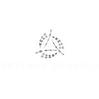 Skylark Connect logo - Similar company to Codeinclusive