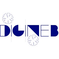 digiNEB logo - Similar company to Neb Academy