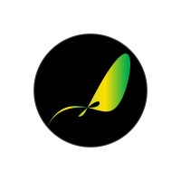Tmn Consulting