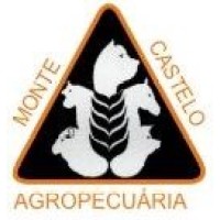 Monte Castelo - Solucoes em alimentos logo - Similar company to 047 Alimentos
