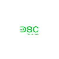 DSC Security logo - Similar company to Shanghai Anping Static Technology Co.,Ltd