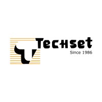 Techset Technology Private Limited logo - Similar company to The Insync Circle