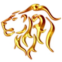 Voice of Asia Network logo - Similar company to Fox 91.4