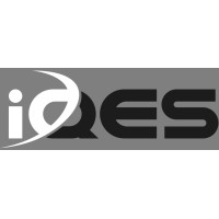 iQES Executive Services logo - Similar company to Romeo Engineering Inc