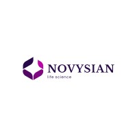 NOVYSIAN logo - Similar company to Naknap
