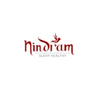 Nindram logo - Similar company to Think Simplr
