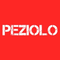 Peziolo Transportes logo - Similar company to Agá Agency