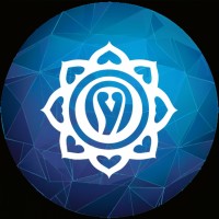Nirvana InfoSystems logo - Similar company to Aurelion Future Forge