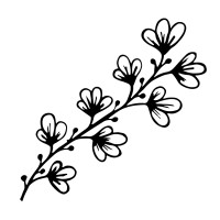 Sustainable Lifestyle Fund Management logo - Similar company to Point16