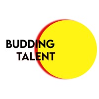Budding Talent logo - Similar company to Studyandwork