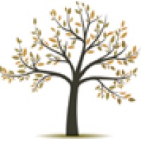 Clínica DNLL logo - Similar company to Projeto Pipa