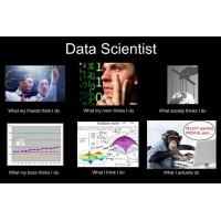 Analytical-Solution logo - Similar company to 7Wdata