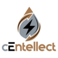 cEntellect logo - Similar company to Berman Capital Group Llc