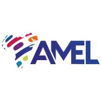 AMEL Group logo - Similar company to Chf Management And Consulting Services S.A.E (Elgf)