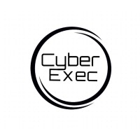 Cyber Exec logo - Similar company to Dcl Search - Cyber Security Talent Solutions