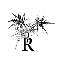 Ruizia logo - Similar company to Csa Remora