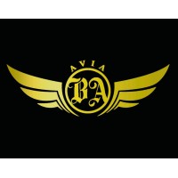 AVIA BA Consulting logo - Similar company to Bics Vision