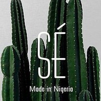 Sé Adeoye logo - Similar company to Audacious Business Concept Ltd