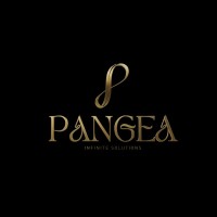 Pangea Infinite Solutions logo - Similar company to Dynamic Motion