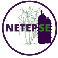 NETEPSE - Núcleo de Estudos em Tecnologias de Processos Sucroenergéticos logo - Similar company to Pq Júnior  - Projetos E Consultoria