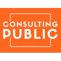 Consulting Public logo - Similar company to Tech Consulting Bv