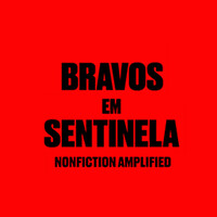 Bravos em Sentinela logo - Similar company to Musevault