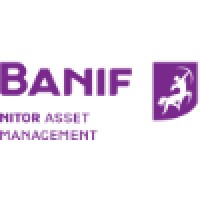 Banif Nitor Asset Management logo - Similar company to Surpplax Asset Management