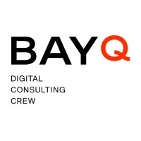 BAY-Q GmbH logo - Similar company to 3Einhalb Gmbh
