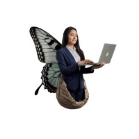 Content Cocoon logo - Similar company to Albinocopper