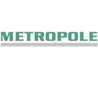 Metropole.nl logo - Similar company to Pannhorst Classics