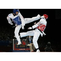 The World Ko Am Mu Do Federation logo - Similar company to Jitzs