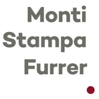 Monti Stampa Furrer & Partners Group logo - Similar company to Ztp.Digital