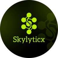 Skylyticx Digital Marketing Agency logo - Similar company to Hubtize (Digital Marketing)