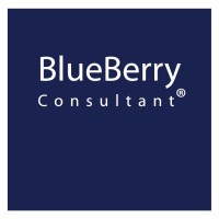 Blueberry Consultant logo - Similar company to Scrumfluence