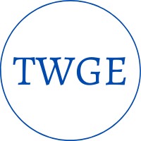 TWGE Solutions logo - Similar company to Digital Prashant Pathak