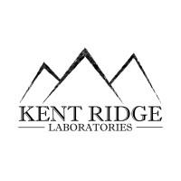 Kent Ridge Labs logo - Similar company to Matcha Masta