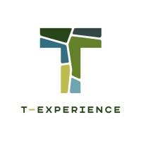 T-Experience logo - Similar company to Epic Travel