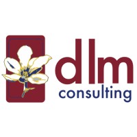 DLM Consulting logo - Similar company to Akwekon