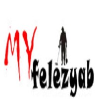 شرکت فلزیاب ماورا فروش فلزیاب طلایاب گنج یاب logo - Similar company to شرکت دانش بنیان عصرشگرف