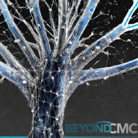 Beyond CMC logo - Similar company to Metabrawl