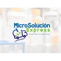 Microsolucion Express logo - Similar company to The Innovator'S Edge