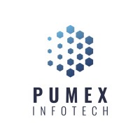 Pumex InfoTech Pvt Ltd. logo - Similar company to Pearlsoft Technologies