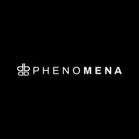 Phenomena logo - Similar company to Exploring Digital