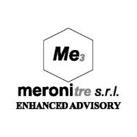 meronitre srl logo - Similar company to Logiplan Srl