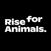 Rise for Animals logo - Similar company to Network For Animals