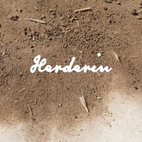 Herderin logo - Similar company to Fafafoom Studio