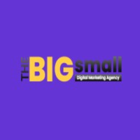 TheBigSmall - Digital Marketing Agency logo - Similar company to Optimusclick - Digital Marketing Agency